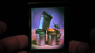 Lippmann Plates Still Life Series Vol. 2