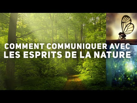 Comment communiquer avec les esprits de la nature