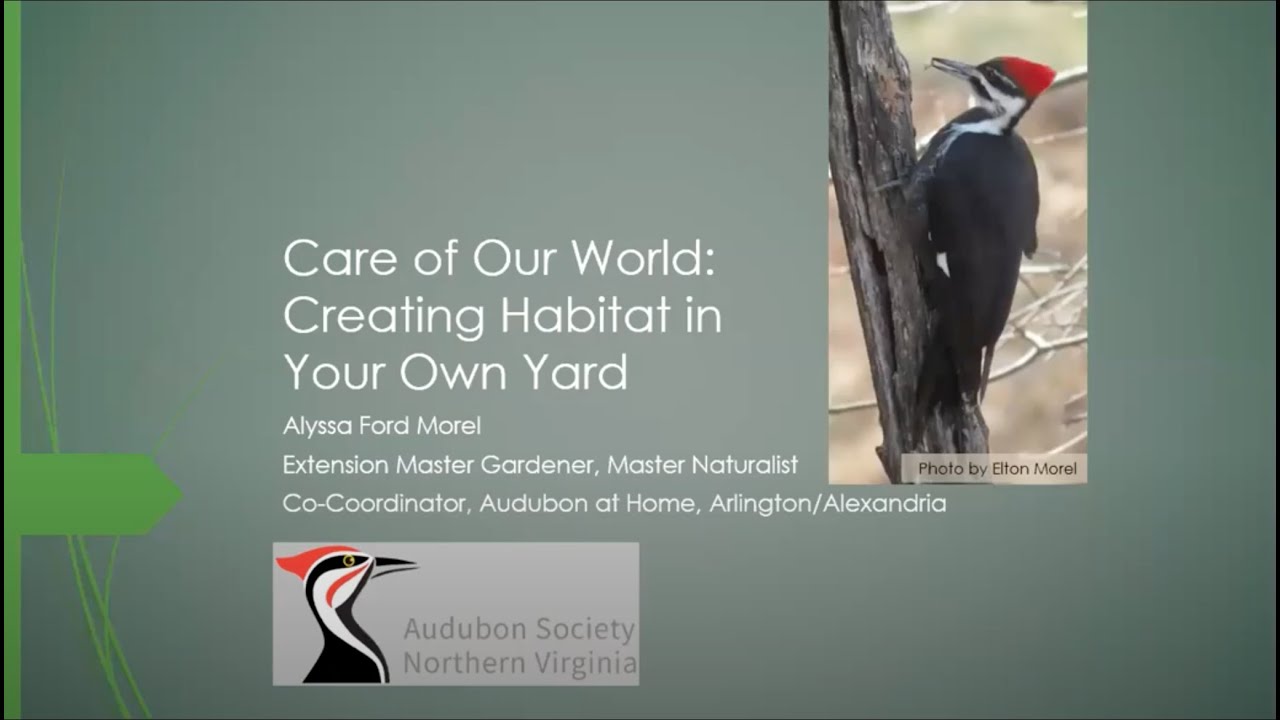 Care of Our World Audubon at Home Wildlife Sanctuary Certification