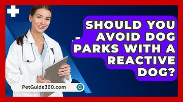 Should You Avoid Dog Parks With A Reactive Dog? - PetGuide360.com