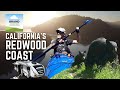 Ep. 313: California&#39;s Redwood Coast | RV travel camping kayaking hiking
