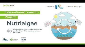 Nutrialgae, the Spanish project awarded by UNDP/OIC to contribute to SDG14