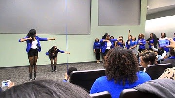 UNT Zeta probate fall2k13