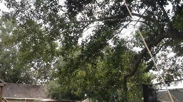 Single rope tree swings and summer afternoons