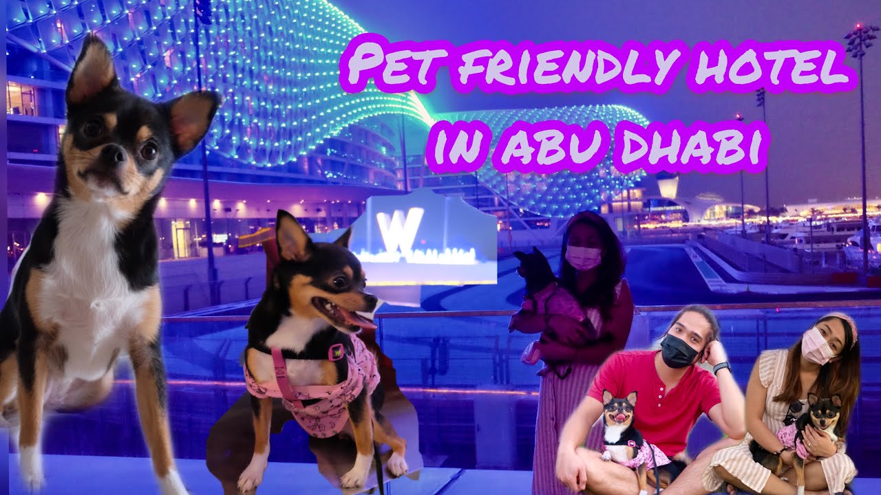 1st Pet friendly Hotel in Abu Dhabi W Hotel Abu Dhabi Yas Island