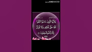 سورة ال عمران آية 102