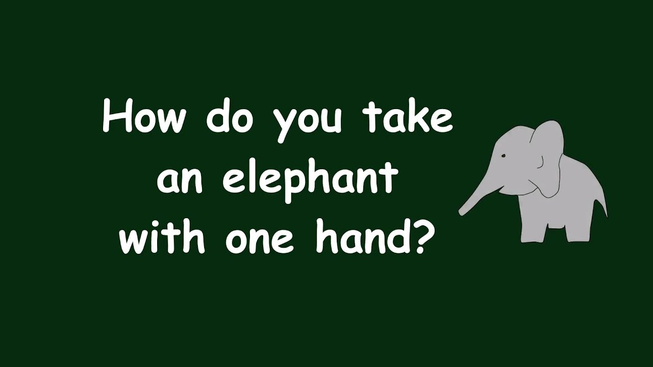 elephant in the handbolsa