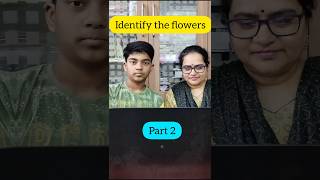 Identify the flowers #shorts #flowernames #quiztime