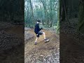 Trail Building Time-lapse Satisfying (part3)