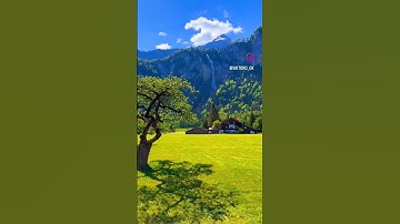 Why Birds Sing at Dawn (The Most Beautiful Science)