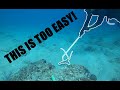 How to catch Lobster in Florida! | THE FASTEST AND EASIEST WAY