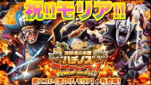 トレジャークルーズ 速報