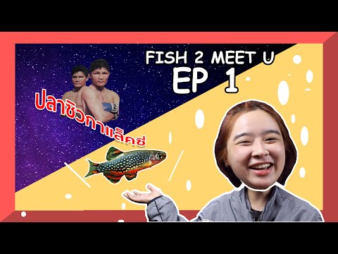 SNC FISH TO MEET U EP.1: ซิวกาเเล็คซี่