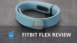 Fitbit Flex Review