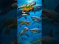 اشرس 5 كائنات بحرية