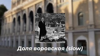 Доля воровская (slow) Resimi