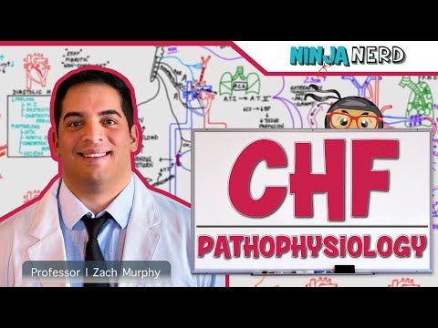 Patofyziologie městnavého srdečního selhání (CHF)