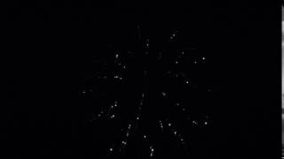 N309 4in Silver Strobe Willow