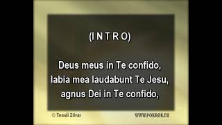 Veni domine - Bára Basiková, DEMO, ukázka Karaoke, instrumental z www.svetkaraoke.cz