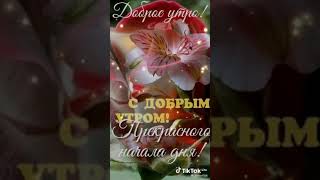 доброго утра вам