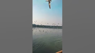 Thumbnail of Chan Kithan | Ali Sethi (Whatsapp Status) | Aesthetic 💫