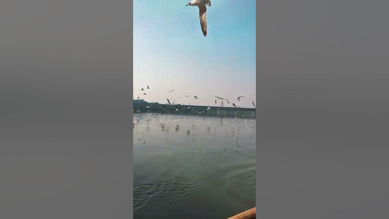 Chan Kithan | Ali Sethi (Whatsapp Status) | Aesthetic π« Chan Kithan | Ali Sethi (Whatsapp Status) | Aesthetic π«