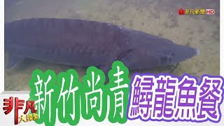 【非凡大探索】產地直送美味- 新竹尚青鱘龍魚大餐【1040-1集】