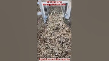 Chili Color Sorter #chili #chilipeppers #spices #colorsorting #foodsafety WhatsApp:8618326129021