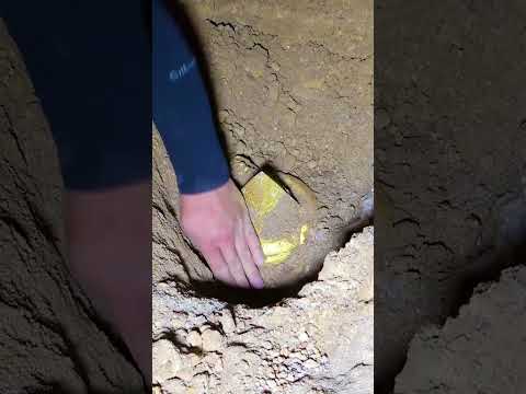 Cave treasure hunt, accidentally dug up treasure buried for millions of years underground