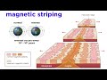 Plate Tectonics and the Journey of Alfred Wegener