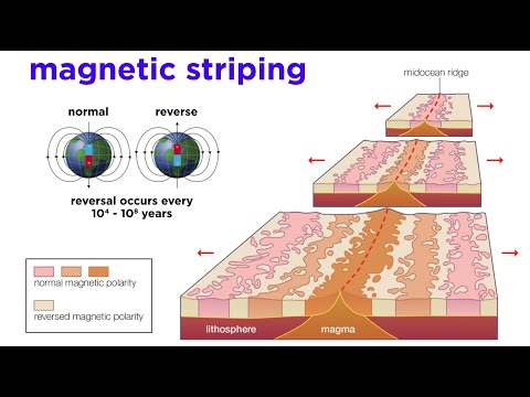 Video: Kāpēc plātņu tektonikas teorija ir svarīga?