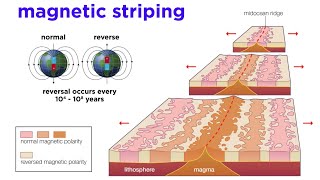 The Development of Plate Tectonics