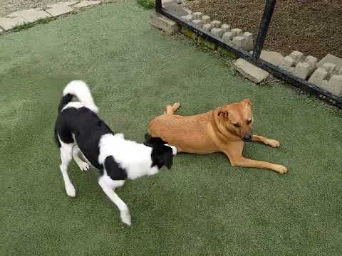 Phoebe tries to entice Gus...