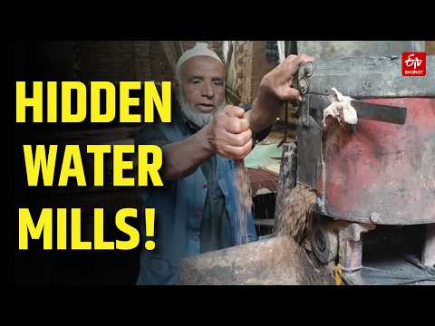 Traditional Watermills Of Kashmir | How Water Powers Life In Kashmiri Villages
