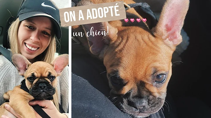 ON A ADOPT UN CHIEN! | Emily Ploquin