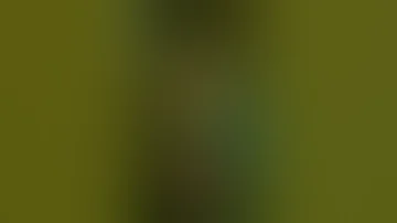 Xx Hot Shot Video Like To Video 