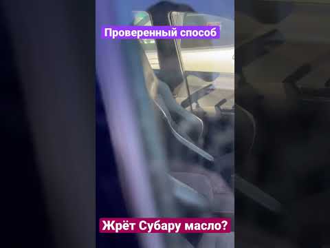 Как проверить жрет ли Субару масло? Лайфхак!