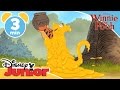The Mini Adventures of Winnie the Pooh | Geniuses | Disney Junior UK
