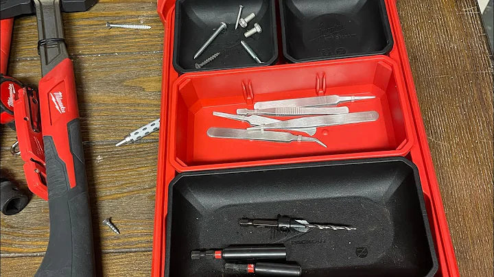 Magnetic trays inside low profile Packout organizer