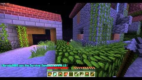 Minecraft:Hunger Games W/ Dbeast Gaming-CRAZY HACKING Part 2/2