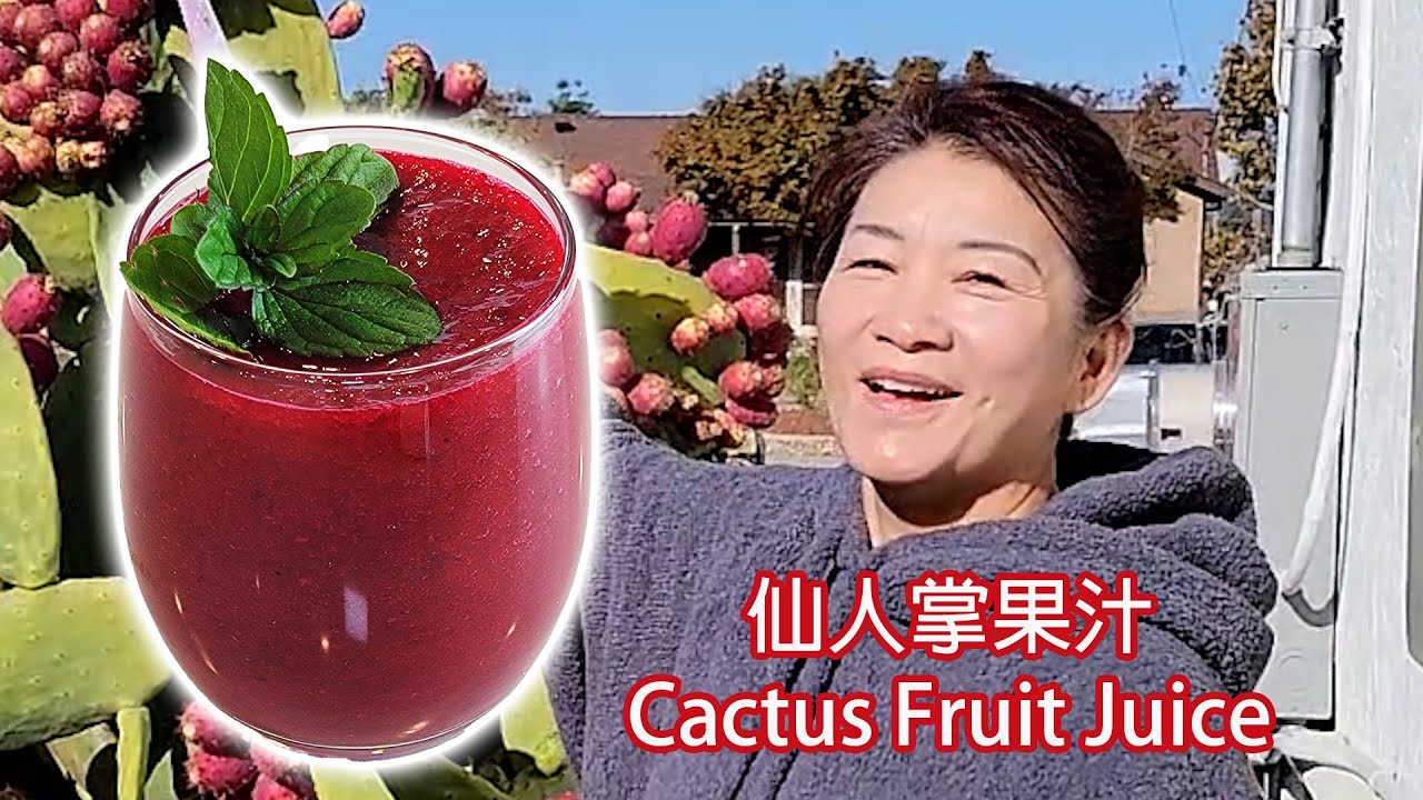 Cactus Fruit Juice Recipe YouTube