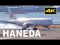 [4K] 50 jets plane spotting at Tokyo Haneda Airport 2022 (Terminal 1) / 羽田空港 JAL ANA