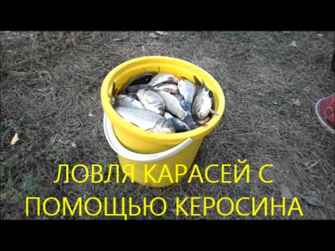 Ловля карасей с помощью керосина. Fishing for carp with the help of kerosene