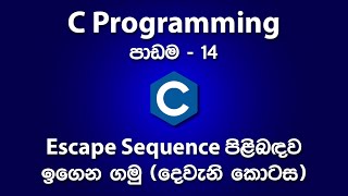 Using Escape Sequences in C Programming - Part 2/2 | පාඩම - 14