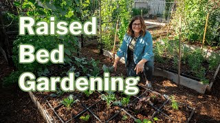 Raised Bed Gardening: Top Questions Answered!