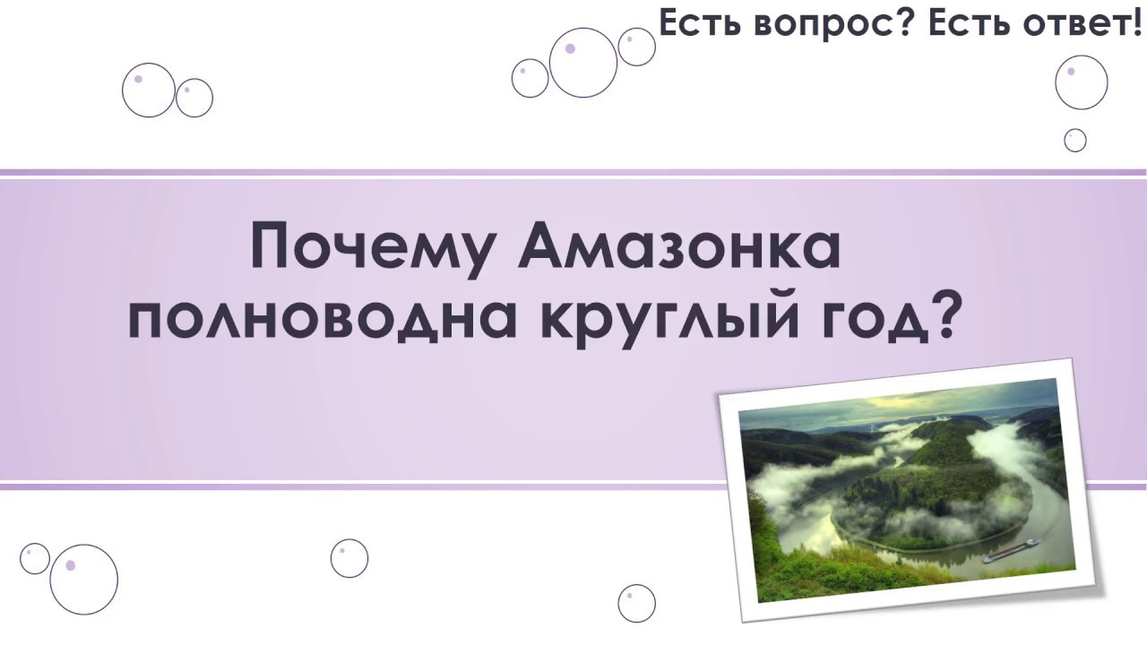 Амазонка полноводна круглый год. Почему Амазонка полноводна. Почему Амазонка полноводна весь год. Почему Амазонка полноводна круглый год укажите 2 причины. Почему Амазонка полноводна круглый год 7 класс.