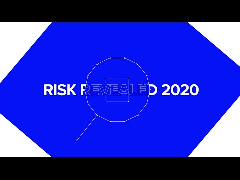 Risk Revealed 2020