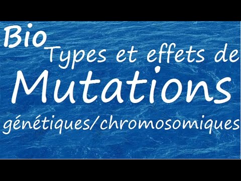 Vidéo: Différence Entre La Mutation Ponctuelle Et La Mutation Chromosomique