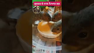 kudrat 🥰🌱🐿🦫....#reels #love #trending #viral #baby #babylove #kudrat #nature