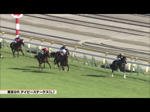 【2023】アイビーステークス 東京競馬場9R ｜ウイニング競馬 2023年10月21日（土）